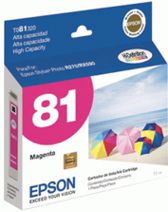 cartucho T081320 original